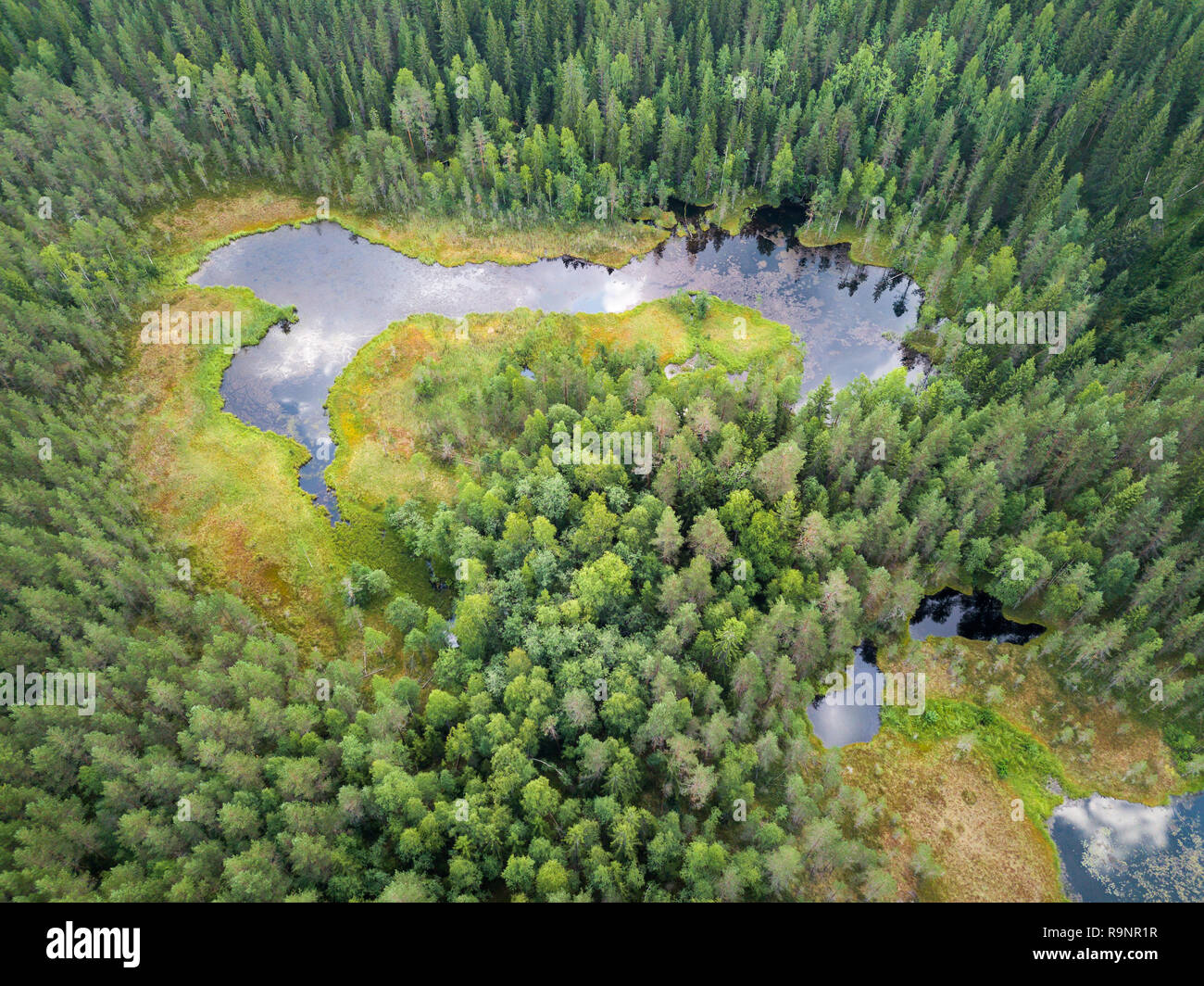 Spring lake aerial Stock Photo