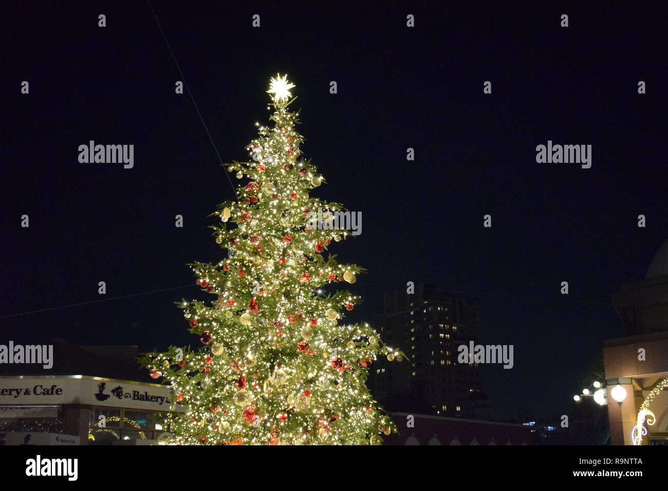 2019 Christmas Illumination at Yebisu Garden Place, Tokyo Stock Photo