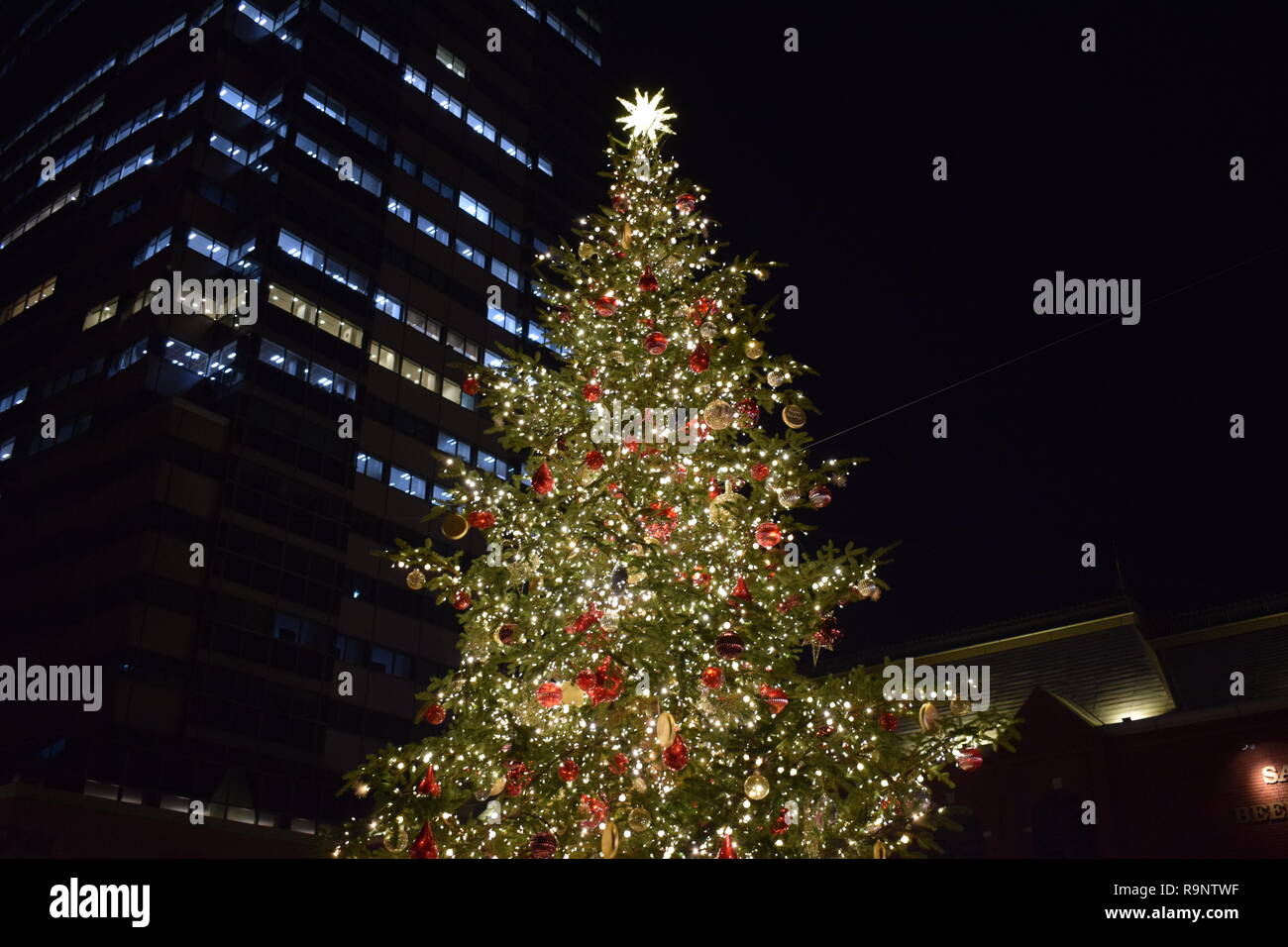 2019 Christmas Illumination at Yebisu Garden Place, Tokyo Stock Photo