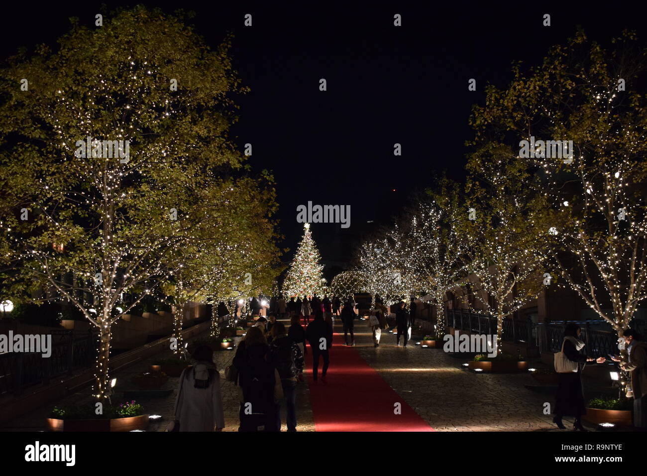 2019 Christmas Illumination at Yebisu Garden Place, Tokyo Stock Photo