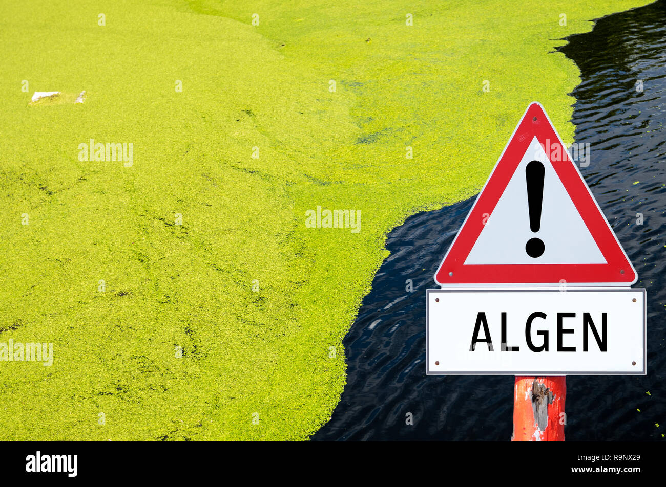 respect algae sign Stock Photo - Alamy
