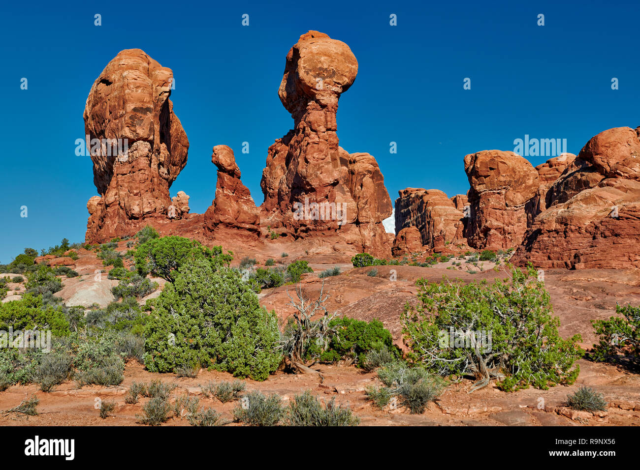 Garden of Eden, Arches National Park, Moab, Utah, USA, North America