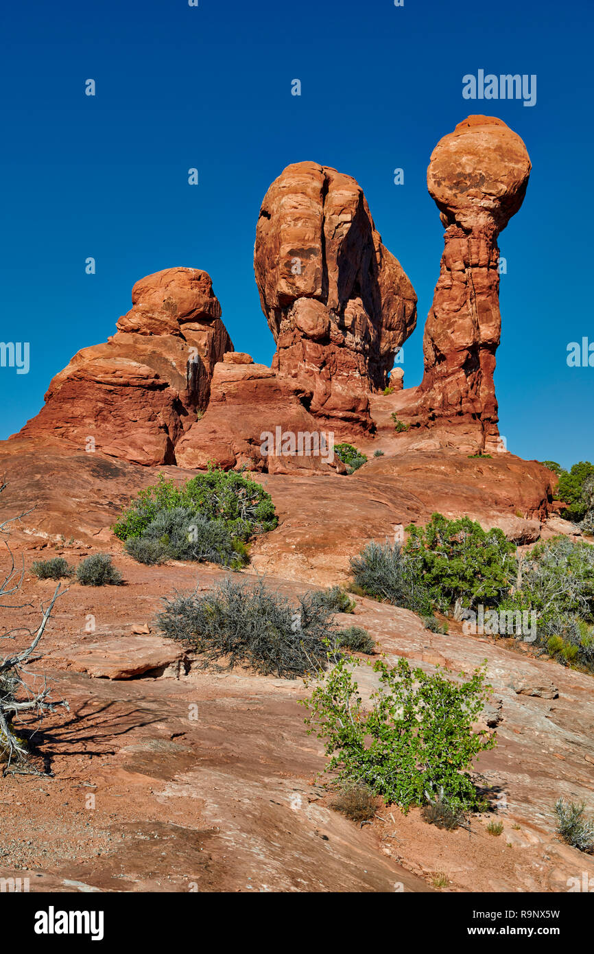 Garden of Eden, Arches National Park, Moab, Utah, USA, North America