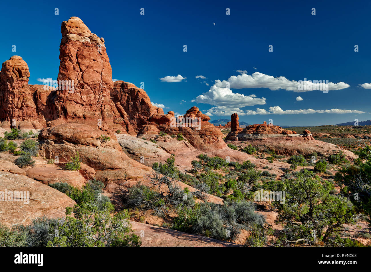Garden of Eden, Arches National Park, Moab, Utah, USA, North America