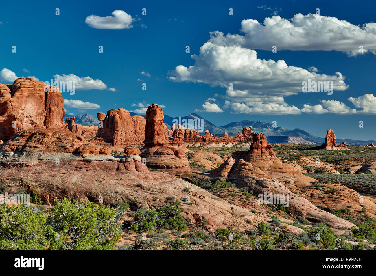 Garden of Eden, Arches National Park, Moab, Utah, USA, North America
