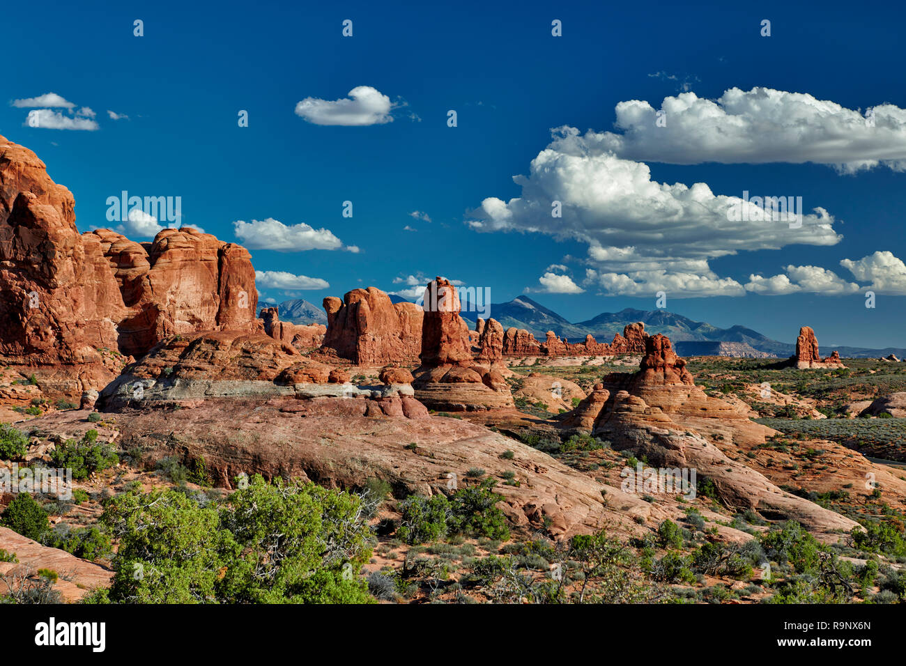 Garden of Eden, Arches National Park, Moab, Utah, USA, North America Stock Photo