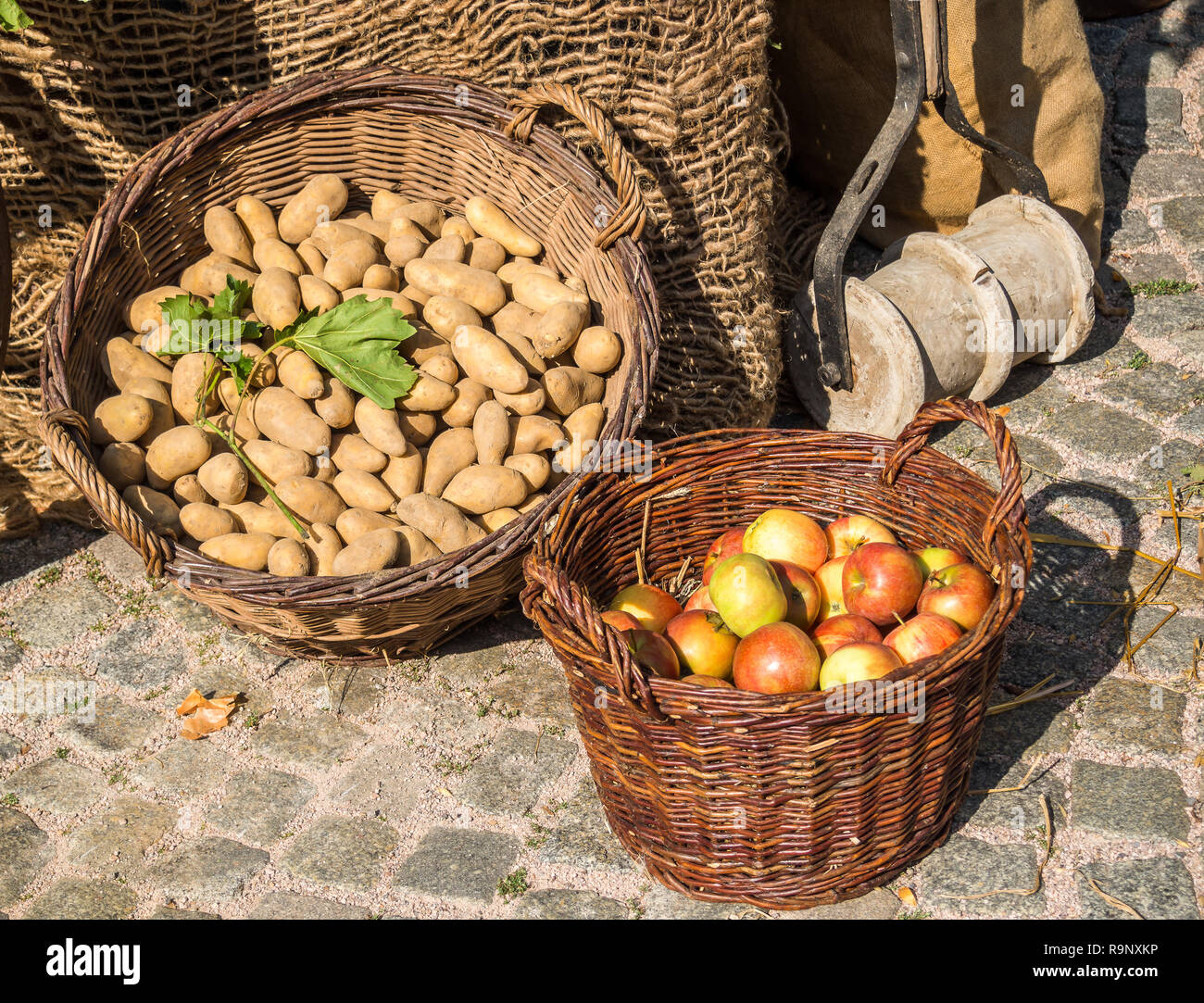 Harvest organic shopHarvest organic shop Stock Photo