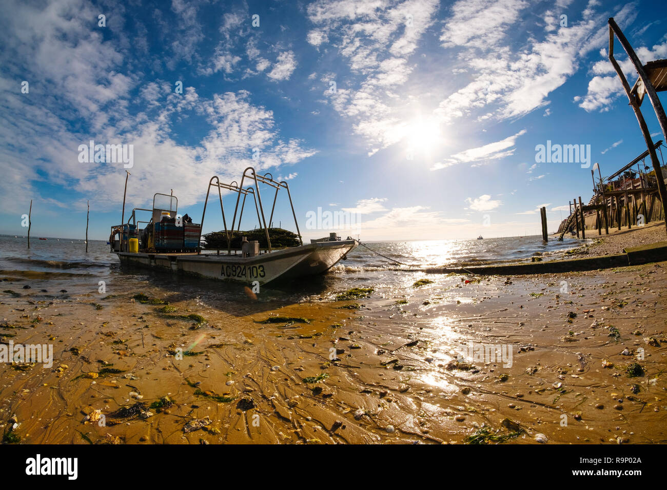Beach. Oyster farming area, Arcachon Bay. Bassin d'Arcachon. LègeCap