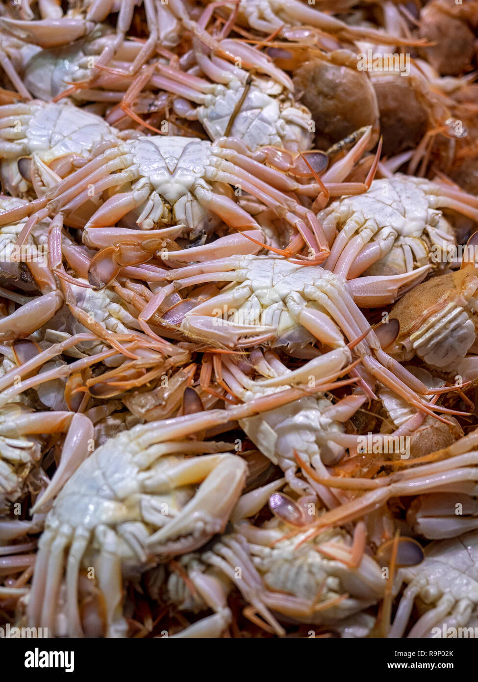 Small Crabs for sale at A market in Spain Stock Photo - Alamy