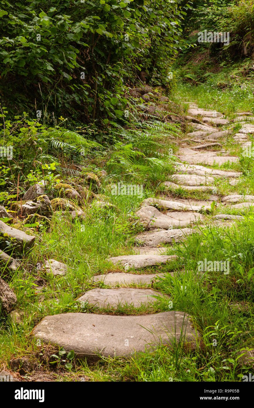 Path to walk in nature. Roman road of Bárcena de Pie de Concha. Cantabria, Northern Spain, Europe Stock Photo