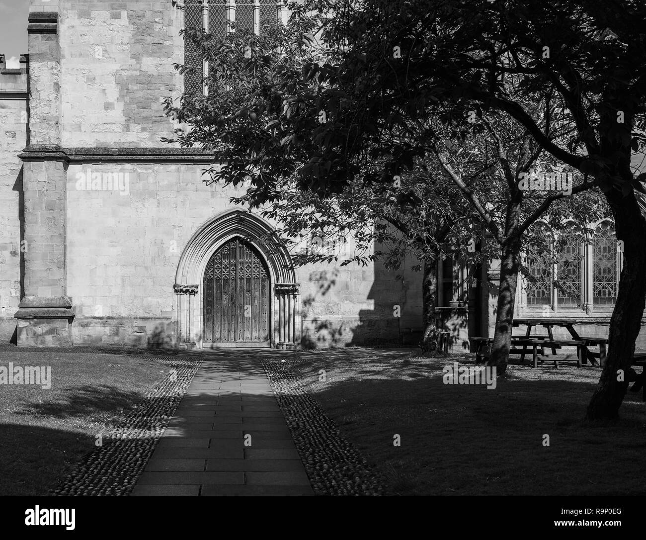 Exeter Cathedral and Close, Exeter Stock Photo