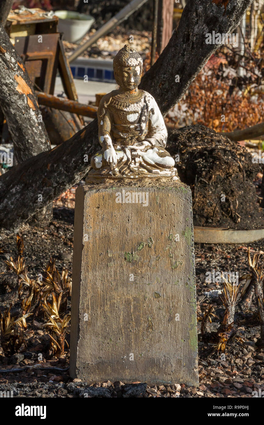 Buddha These images were captured in neighborhoods near Santa Rosa