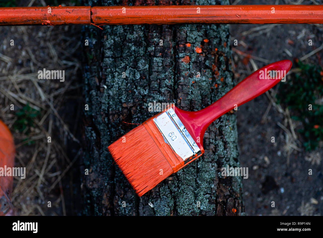 Paint brushes on the stump. Stock Photo