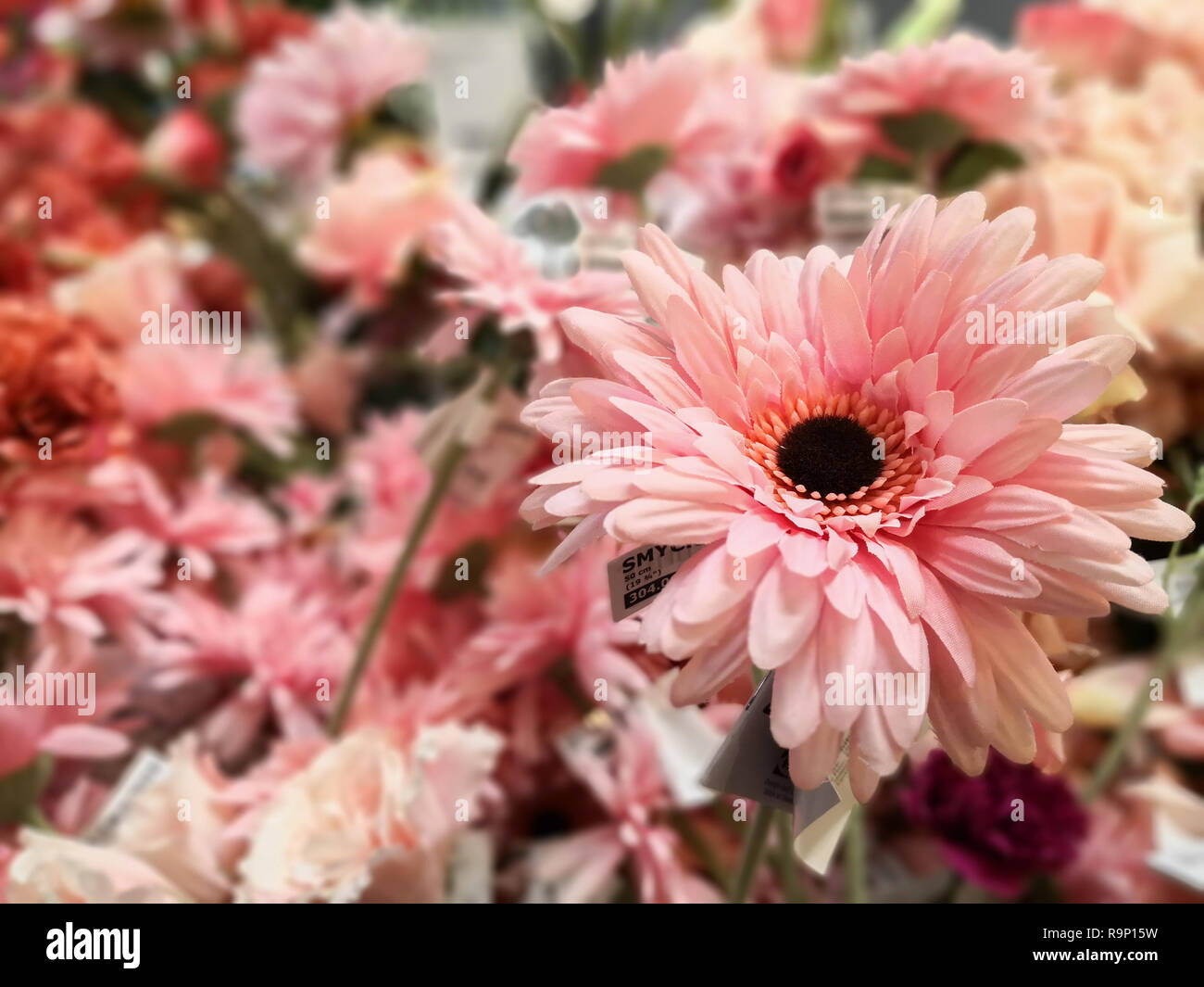 Artificial daisy flower in small bouquet Stock Photo Alamy