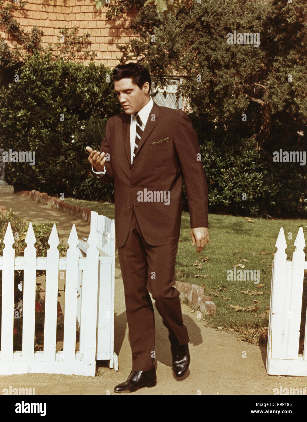 Elvis Presley, wearing brown suit and walking by a picket fence, circa 1964  File Reference # 33635 714THA Stock Photo - Alamy