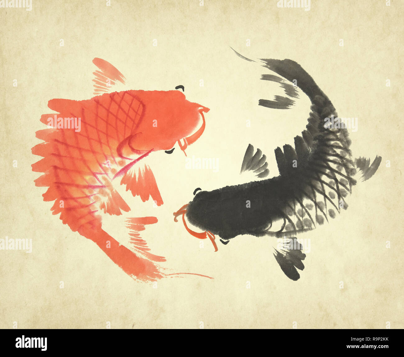 Red and black koi carps hand drawn in traditional style Stock Photo