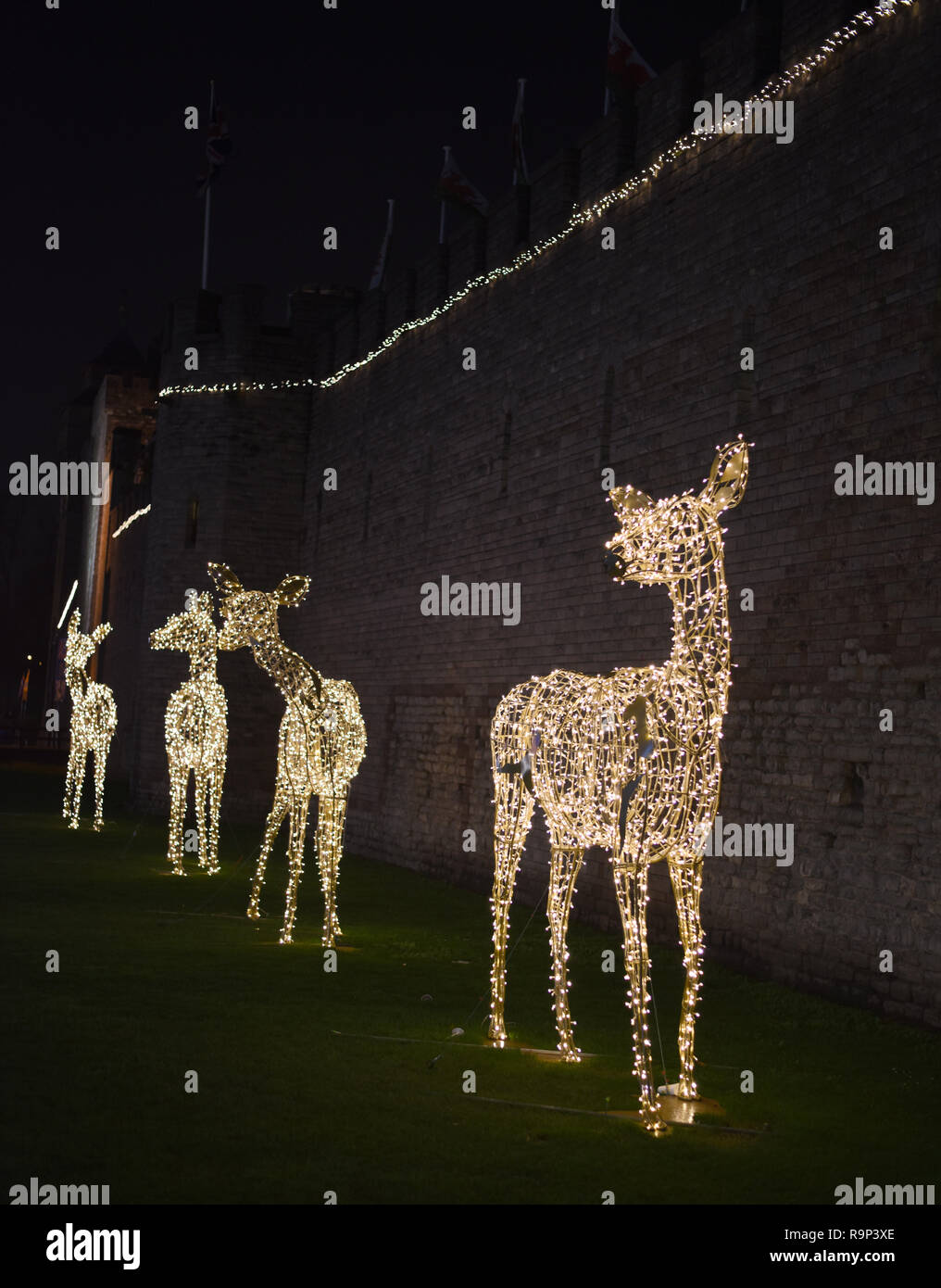 Giant reindeer at Cardiff Castle number 3754 Stock Photo