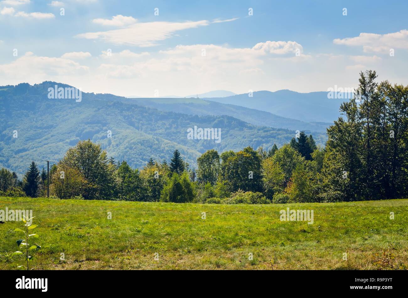 Beautiful mountain landscape Glade in the mountains in a summer Beautiful mountain landscape Glade in the mountains in a summer