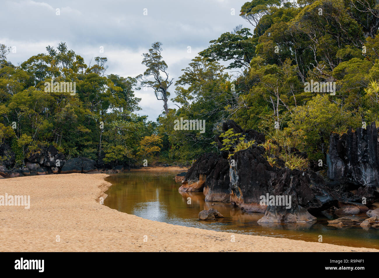 Beautiful Pure Nature Landscape Masoala National Park Madagascar beautiful-pure-nature-landscape-masoala-national-park-madagascar