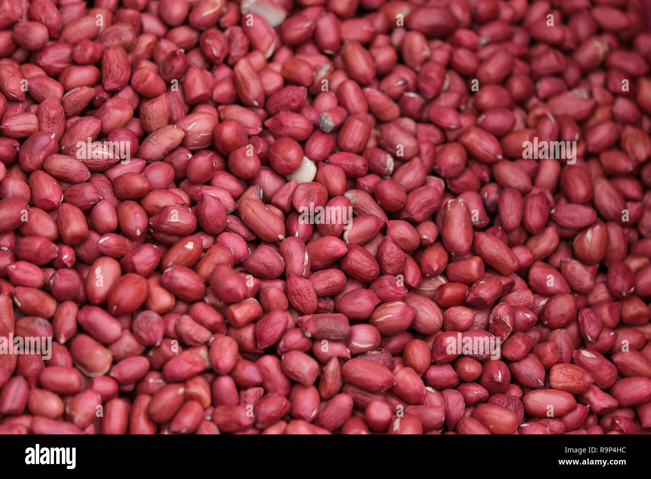 Peanut bean seed with shell or Arachis hypogaea background. Royalty highquality free stock