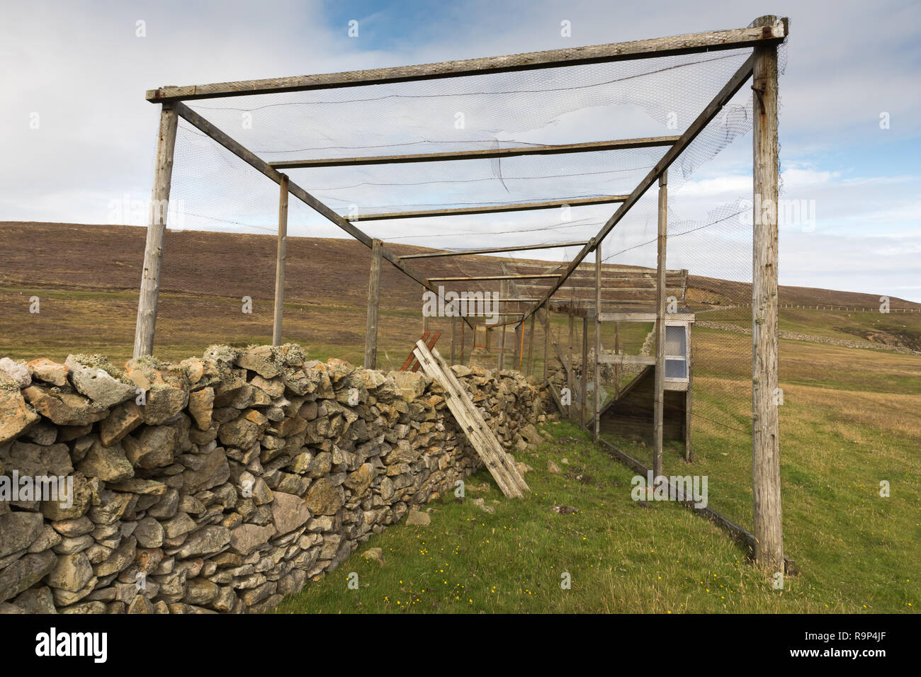 Heligoland bird trap on Fair Isle, Shetland Islands Stock Photo