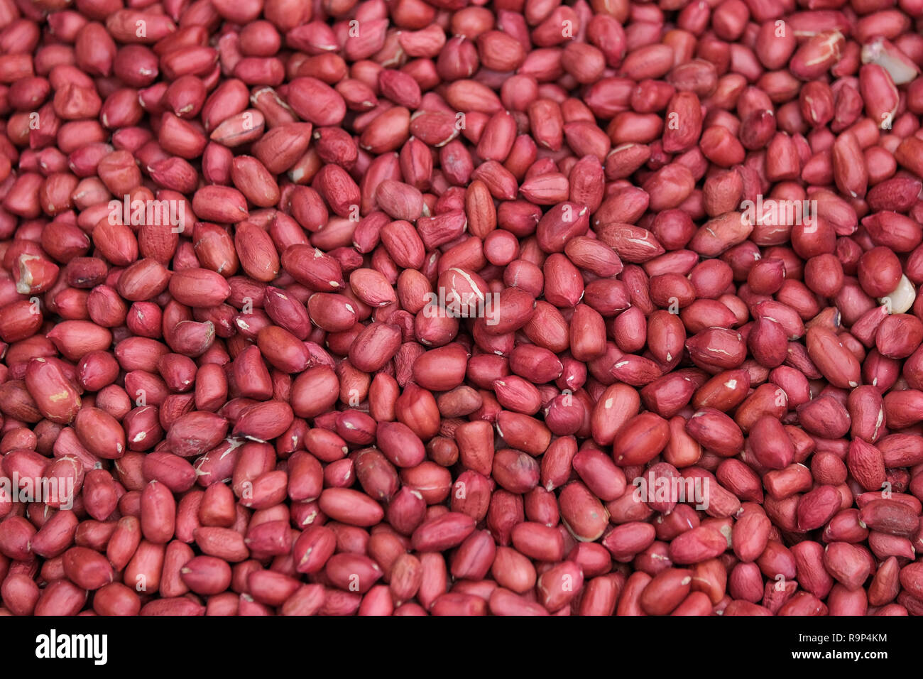Peanut bean seed with shell or Arachis hypogaea background. Royalty