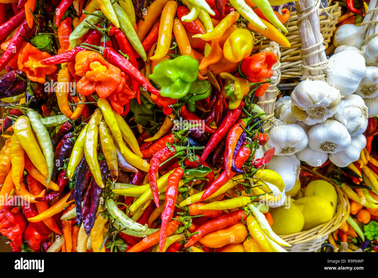 Various hot chilli peppers bunch Spain market Chillies Stock Photo