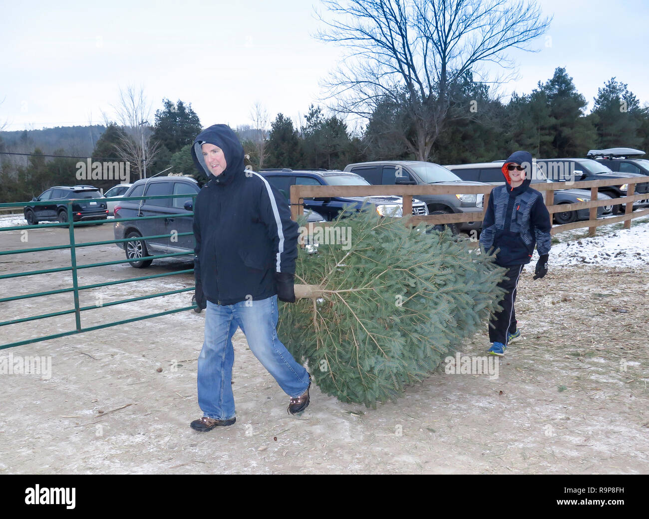 Christmas tree farm where people pick and cut their own selected tree