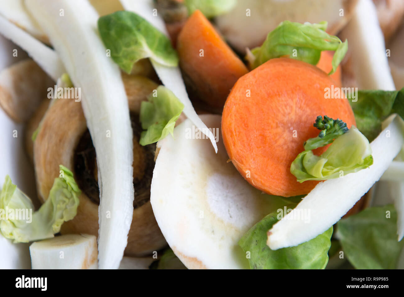 Close up of fresh vegetable waste peelings Stock Photo Alamy