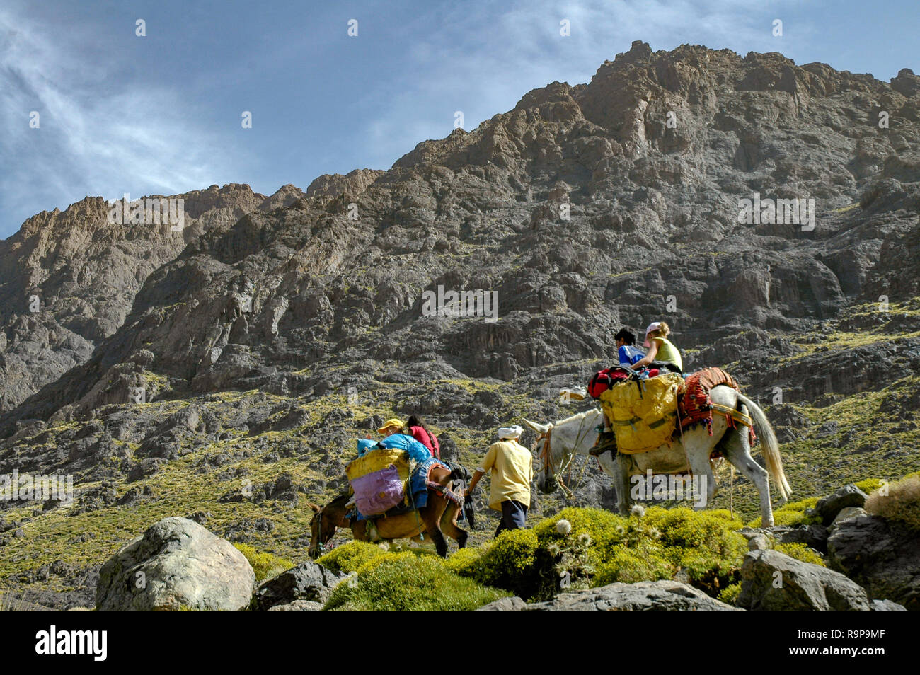 guided tour atlas mountains