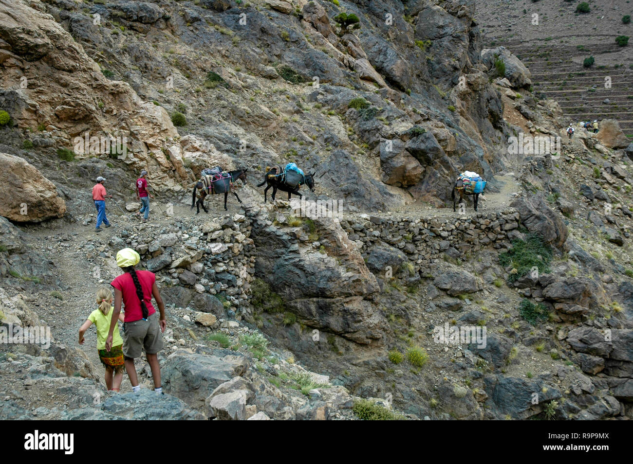 Donkeys In High Atlas High Resolution Stock Photography and Images - Alamy
