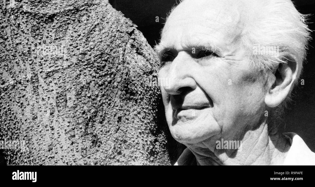 STRUGGLE THE LIFE AND LOST ART OF SZUKALSKI, TV movie, Stanislav
