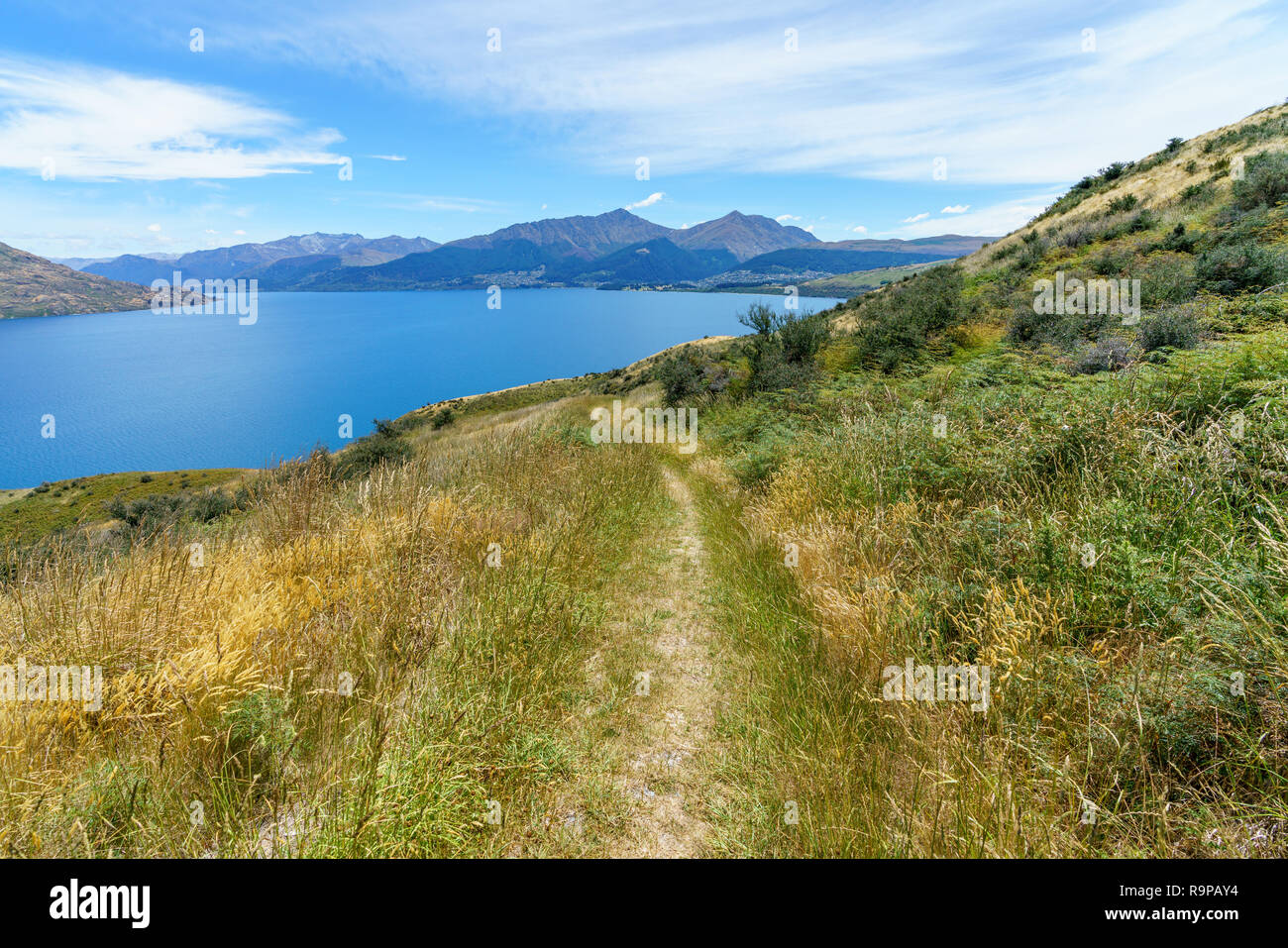 hiking jacks point track with view of lake wakatipu, queenstown