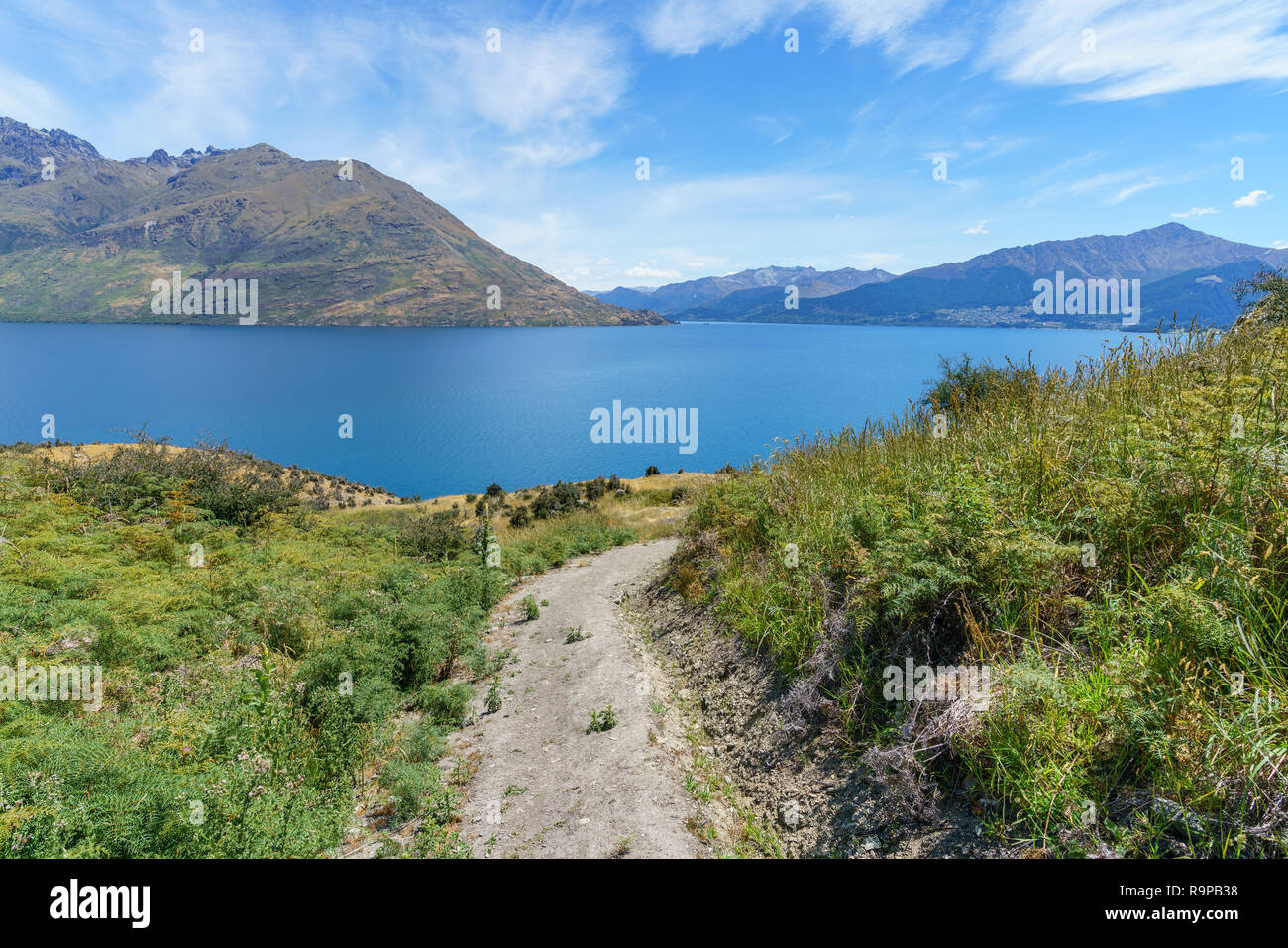 hiking jacks point track with view of lake wakatipu, queenstown