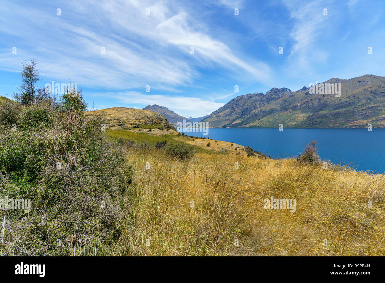 hiking jacks point track with view of lake wakatipu, queenstown