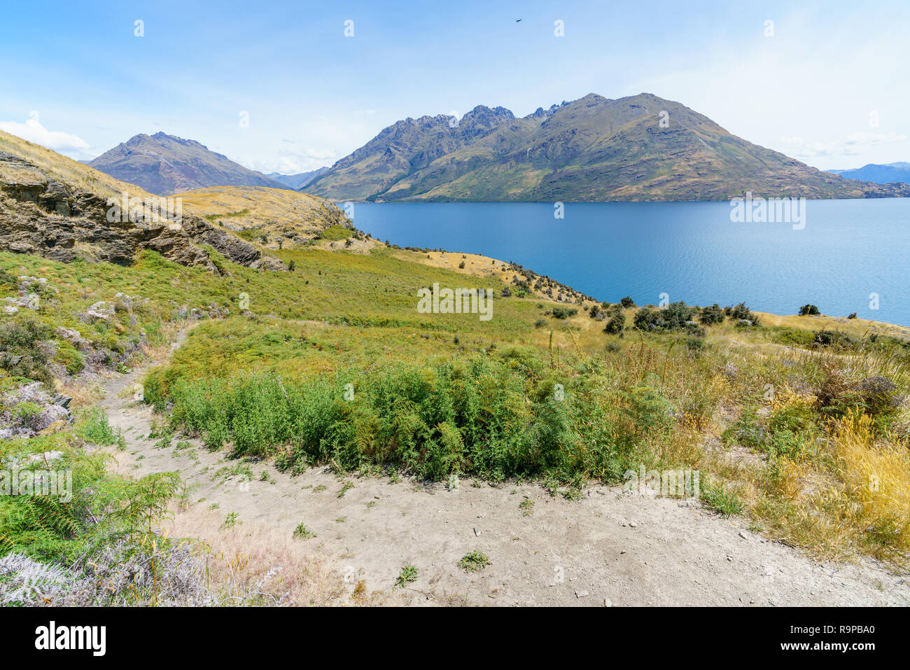hiking jacks point track with view of lake wakatipu, queenstown