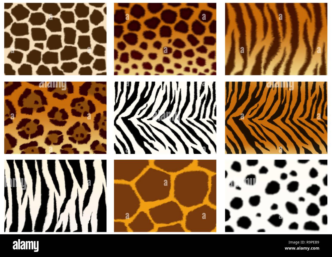 Set of animals skins textures Stock Photo Alamy