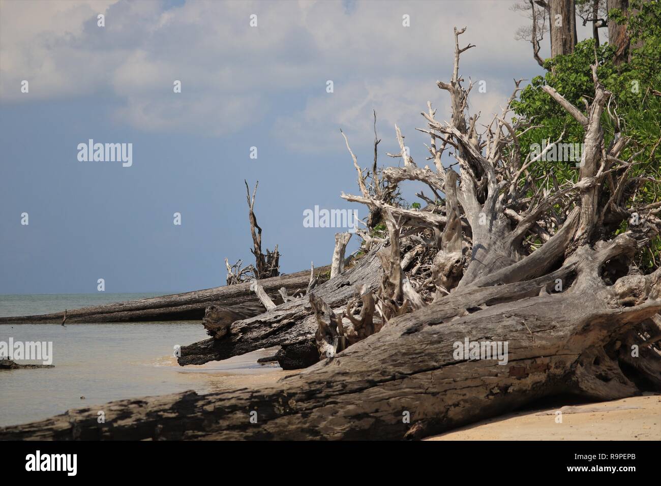 wandoor beach Stock Photo