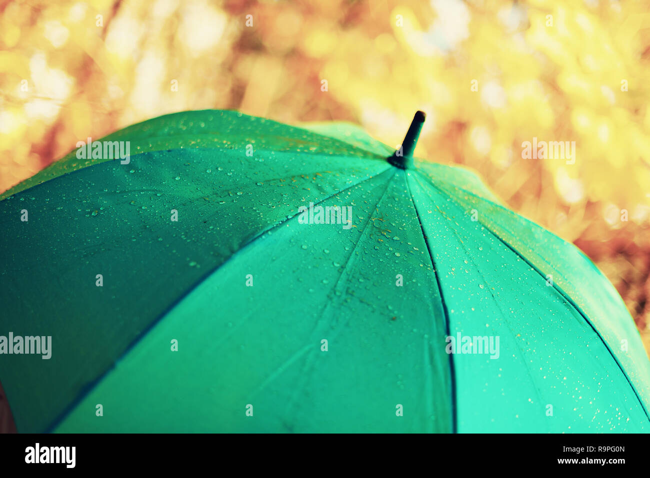 Blue umbrella with rain drops. Autumn weather concept Stock Photo Alamy