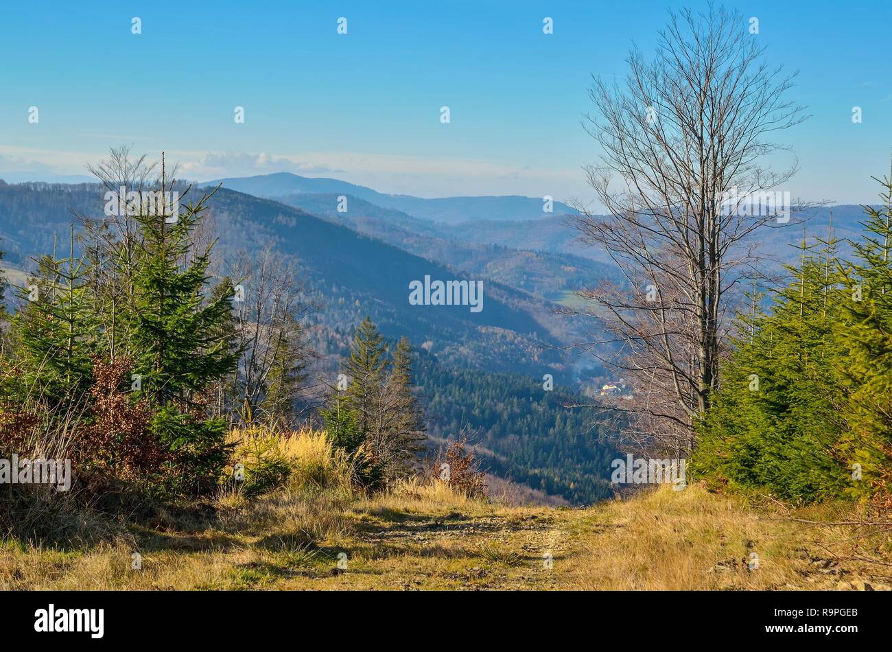Beautiful autumnal mountain landscape. View of the valley and green hills. Stock Photo