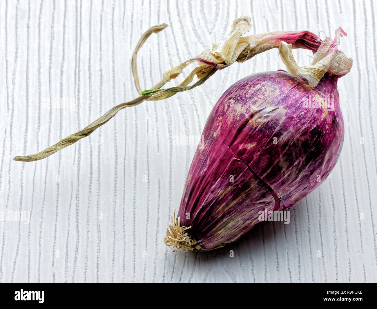 italian red onion tropea Stock Photo Alamy
