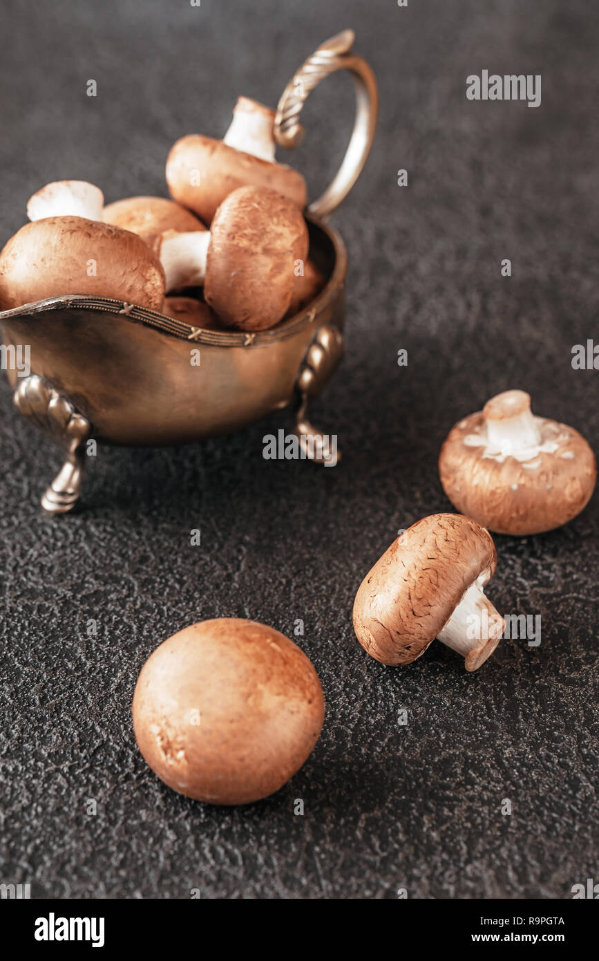 Swiss brown mushroom close-up Stock Photo