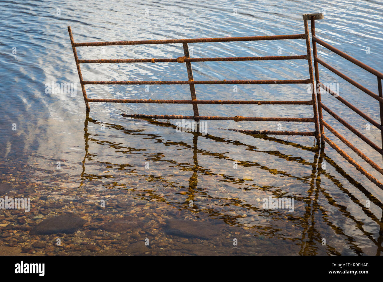 Disused fence door in a small lake on Fetlar Stock Photo