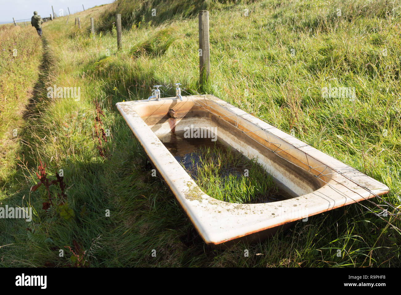 Cattle feeding trough hires stock photography and images Alamy