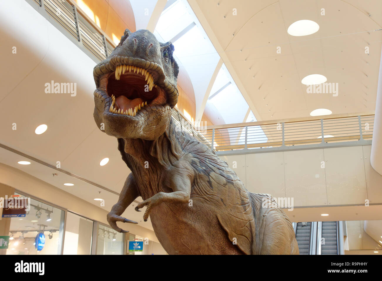 Rome, Italy - May 2014: Dinosaur giant model at Lunghezza Mall Stock Photo