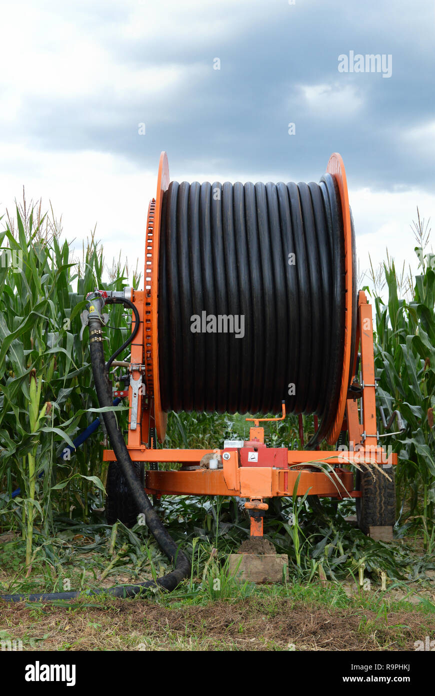 Agricultural irrigation system with a big hose reel, for the cultivation of corn during the