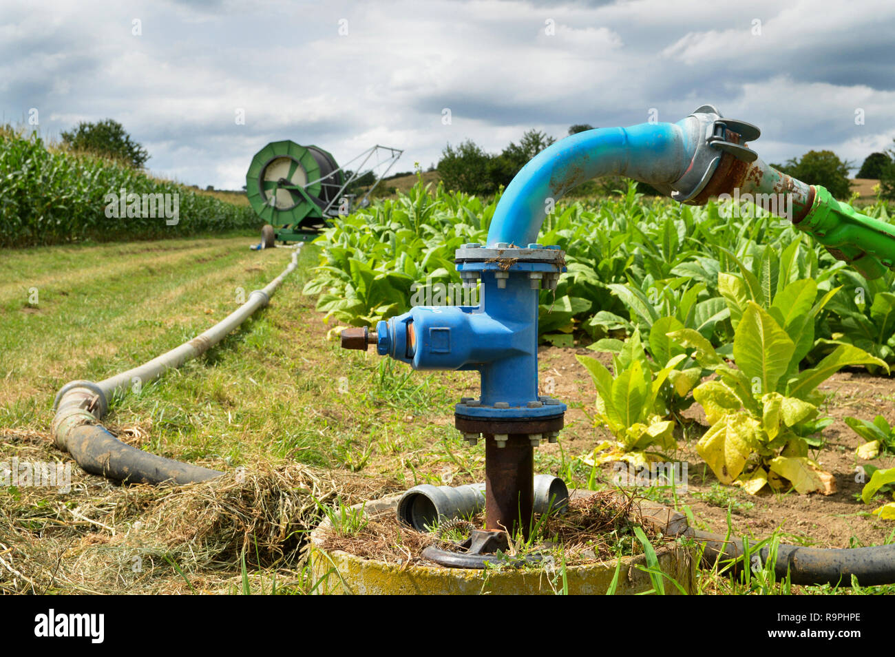 Agricultural irrigation system with a well of water, for the cultivation of corn and beet during the summer. Stock Photo