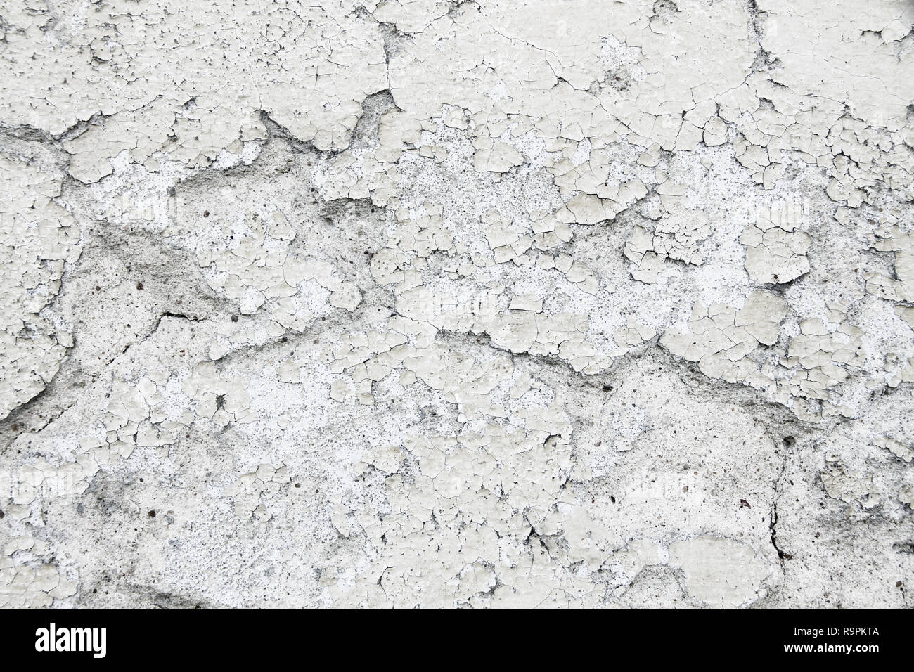 Grungy and old weathered white wall stucco plaster texture background marked by long exposure to the elements outdoors and with gray painting coating  Stock Photo