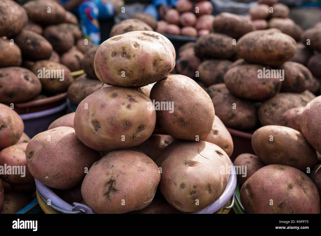 Potatoes for sale at the Ofelia Market in Quito Stock Photo Alamy