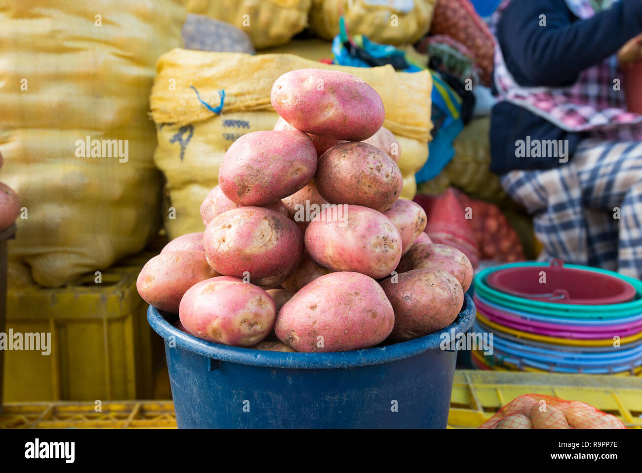 Potatoes for sale at the Ofelia Market in Quito Stock Photo Alamy